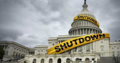 Government shutdown could bring air travel chaos — again